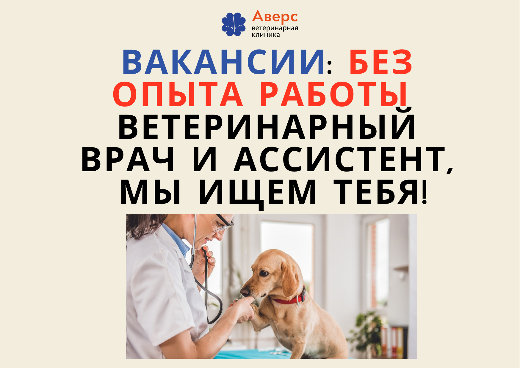 Ветеринарная клиника Аверс-Путилково: ВЕТЕРИНАРНЫЙ ВРАЧ и АССИСТЕНТ