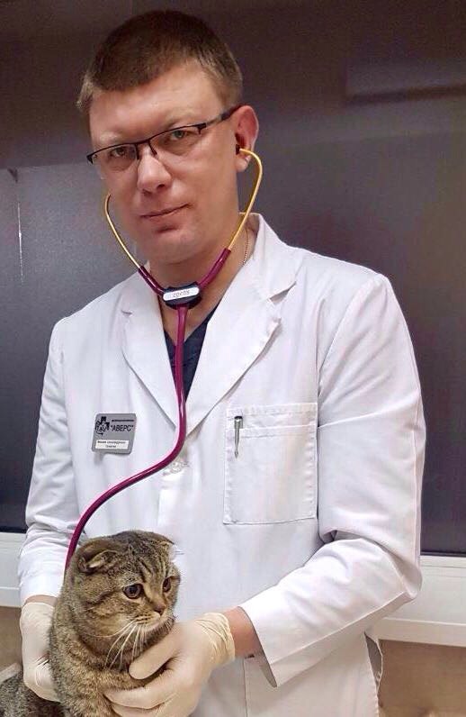 Ортопед-травматолог для животных